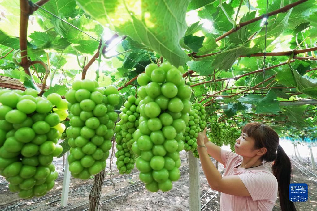 百佬汇派对